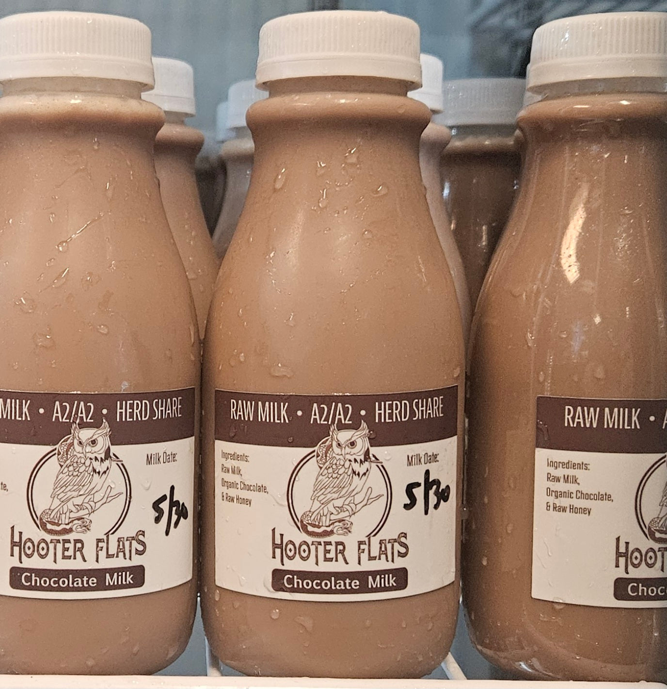 Raw Chocolate Milk Herd Share = 12 0z – Hooter Flats
