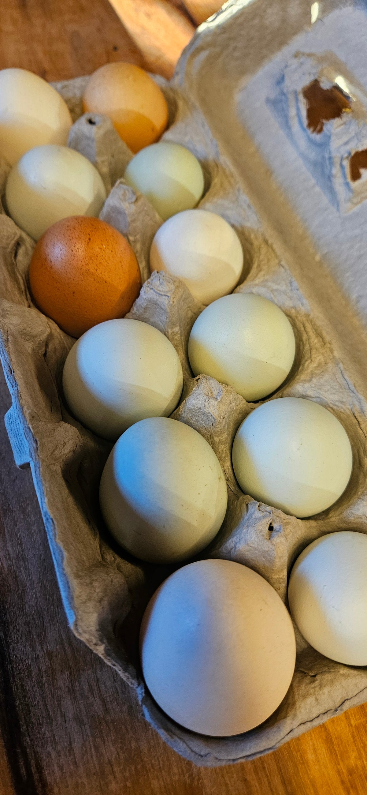 Amazing Grace - Pasture Raised Eggs